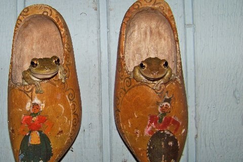 [ljc-jl-frog-shoes%255B5%255D.jpg]