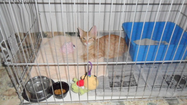 [Palpostsurgery28Jun20113.jpg]