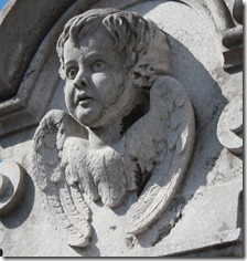 IMG_2626 IMG_2626
