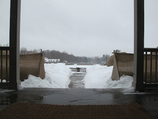 It's pouring rain and there are ice-cold puddles everywhere to freeze our little feet. 3