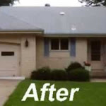 Roof Cleaning After.jpg