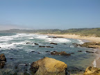 IMG_20120601_144733.jpg