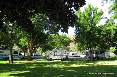 Welcome shade, spacious sites Shaded brounds