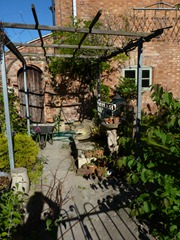 garden june 2011 026 garden june 2011 026