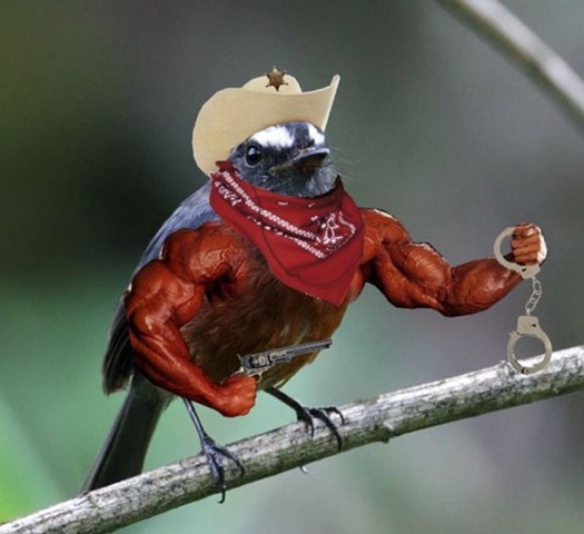 [birds-with-arms-10%255B3%255D.jpg]