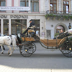 Horse & Carriage in Square Horse & Carriage in Square