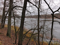 jez. Góreckie