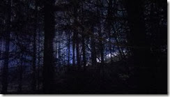 Trollhunter Strange Light in the Forest