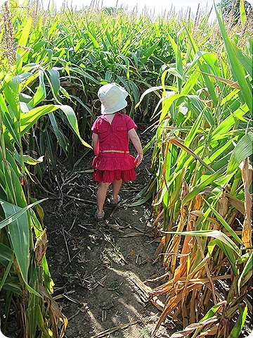 IMG_0605 IMG_0605