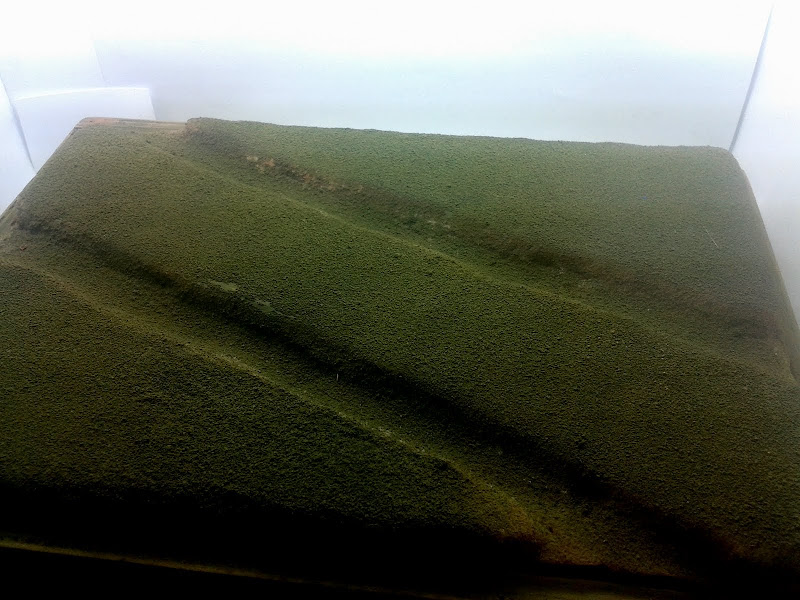 20130811_145215.jpg