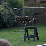 Cub Pack Holiday - Skreens Park 2012 - DSC_0181.jpg
