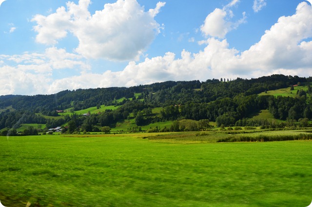 DSC_0505 DSC_0505
