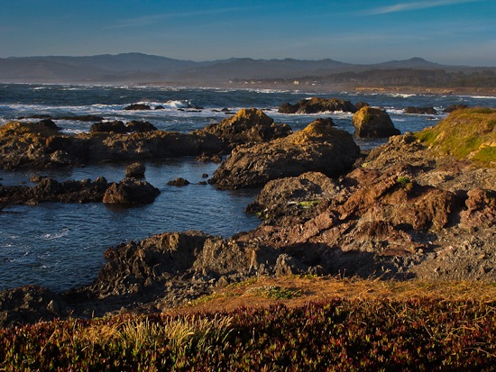 MacKerricher State Park Laguna Point (1)