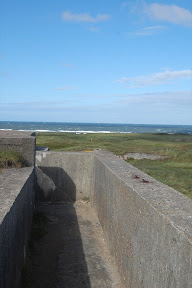 DSC_0476.jpg