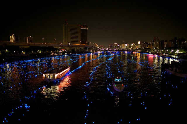 tokyo-hotaru-03-terapixel.jpg