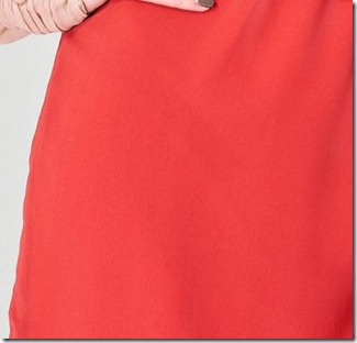 Red 2 in 1 dress2 Red 2 in 1 dress2
