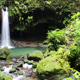 Emerald Pool - Roseau, Dominica