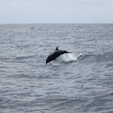 HeadingToSantaCruzGalapagos HeadingToSantaCruzGalapagos