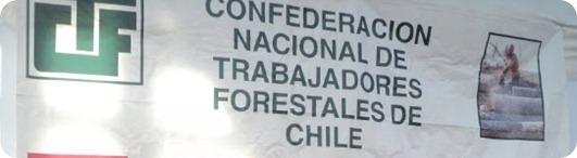 forestal chile