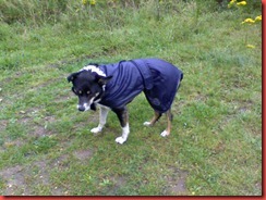 Ruby in r'coat Ruby in r'coat