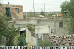 IMG_7489.JPG
