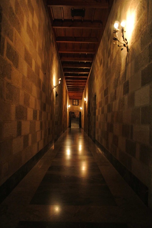 DSC_1015 DSC_1015