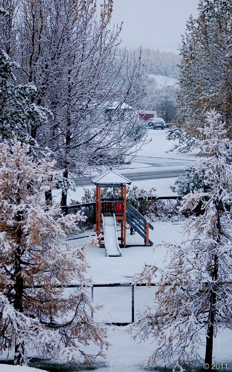 [DSC_4304%255B7%255D.jpg]