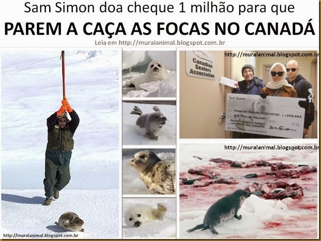 Sam Simon caça focas