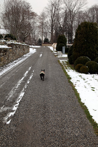 Let's go see how the donkeys are faring in the snow.