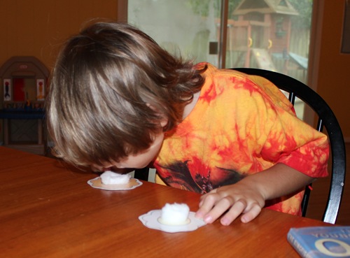 IMG_9605 IMG_9605