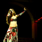 Document Name_3_281.JPG