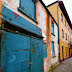 Vibrance on a dull day Pgphoto