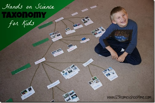 Taxonomy Hands on Science for Homeschool Kids Taxonomy Hands on Science for Homeschool Kids