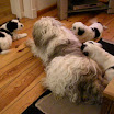 DSCN0254.JPG