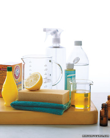 Staying on top of monthly chores keeps a household in pristine condition. Use our checklist as a guide to organize your monthly cleanup. http://images.marthastewart.com/images/content/web/pdfs/2009Q3/ms_checklist_monthlyclean.pdf Staying on top of monthly chores keeps a household in pristine condition. Use our checklist as a guide to organize your monthly cleanup. http://images.marthastewart.com/images/content/web/pdfs/2009Q3/ms_checklist_monthlyclean.pdf
