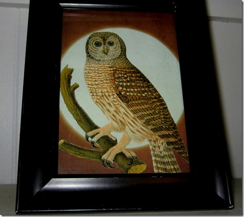 IMG_3505 IMG_3505