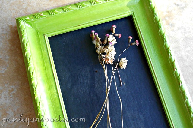 [DSCN1821-1%255B2%255D.jpg]