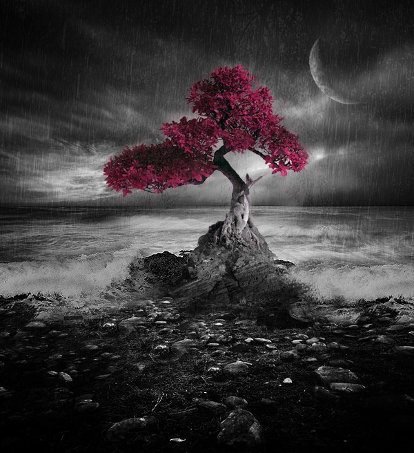 [Tree_by_tmh7%255B7%255D.jpg]