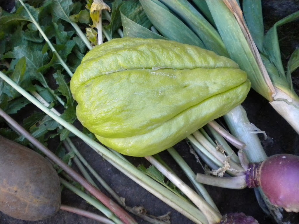 [DSCN7246%255B5%255D.jpg]