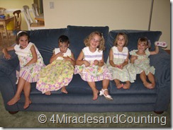 IMG_6054 IMG_6054