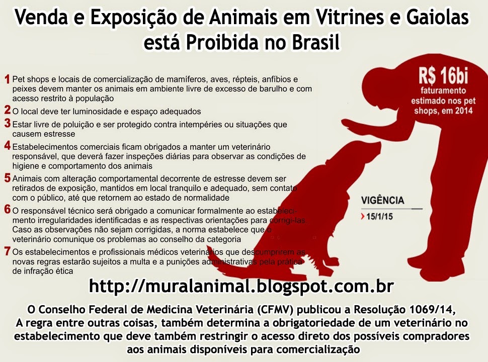[regra_venda_animais%255B3%255D.jpg]