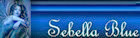signature (1) signature (1)