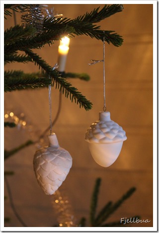 IMG_8756 IMG_8756