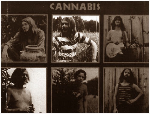 [Cannabis%25202%255B5%255D.jpg]