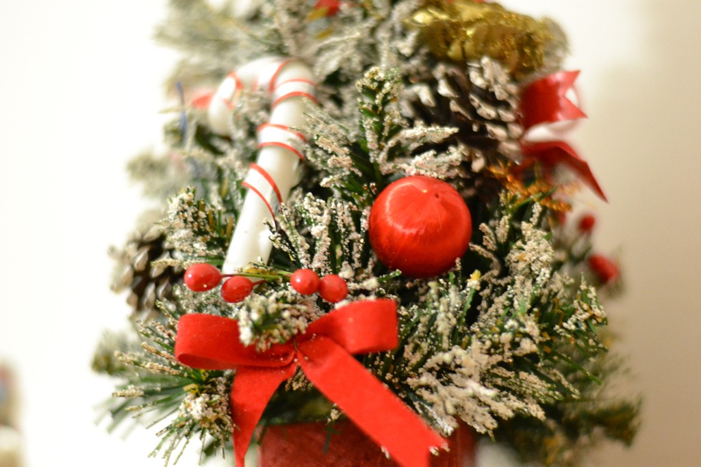 [DSC_0083%255B4%255D.jpg]