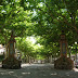 Passeig Indústria