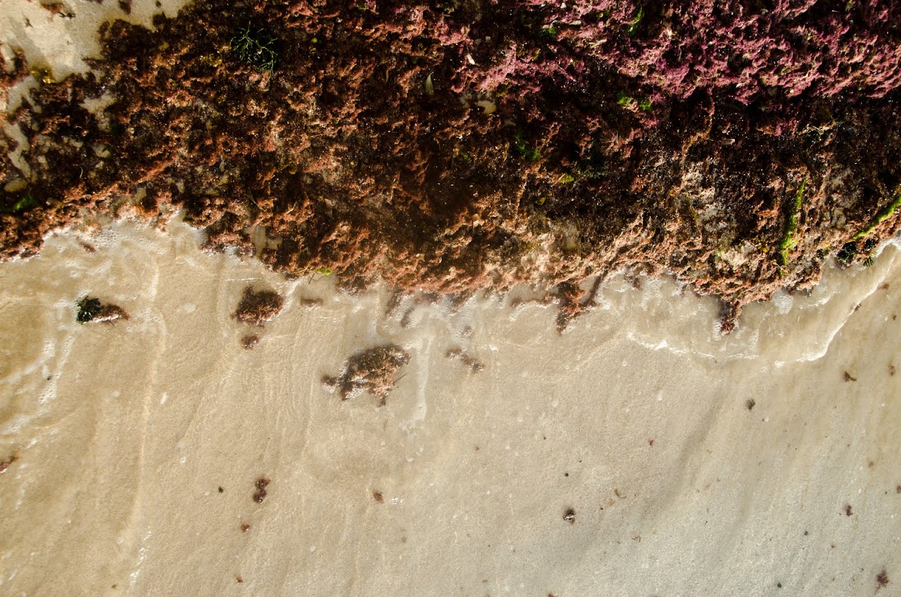 Sand at Couples Jamaica