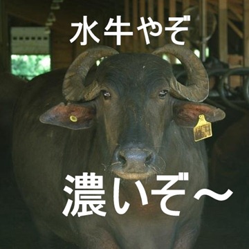 img-3126 img-3126
