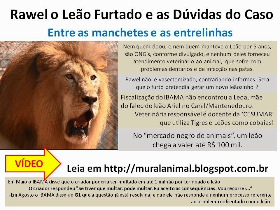 [rawell_leao_furtado%255B3%255D.jpg]