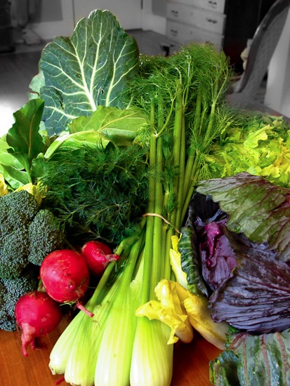 CSA Produce Share